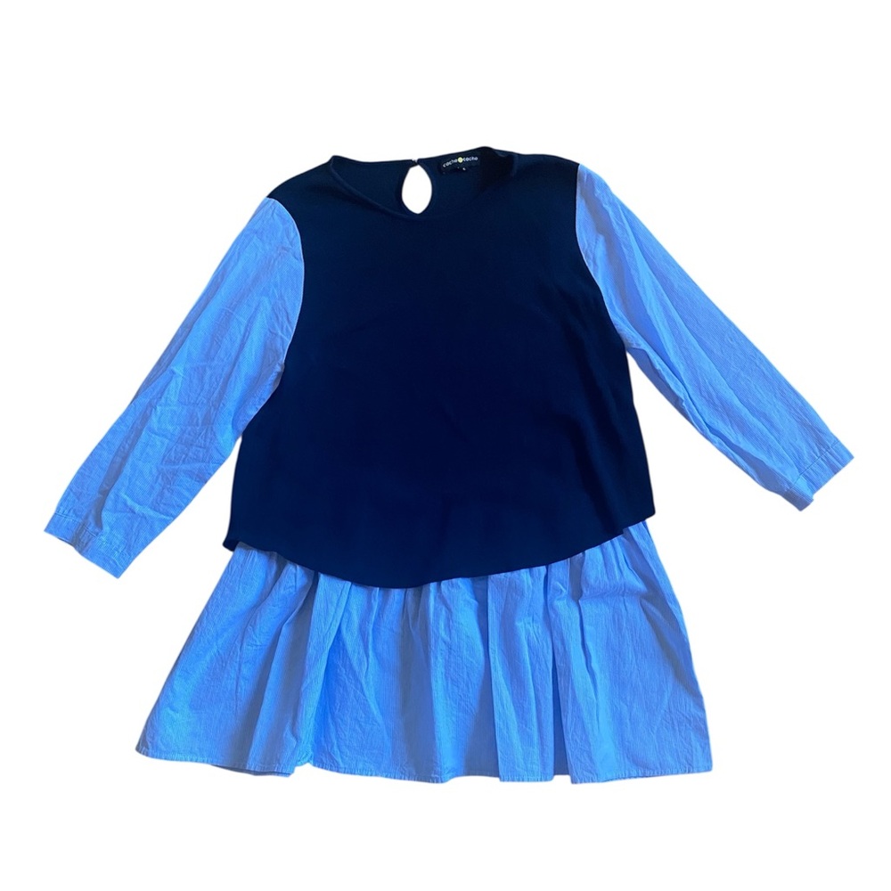 Blue Long Sleeve Top/Dress